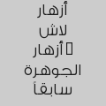 أزهار لاش - أزهار الجوهرة سابقاً