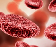 صورة دم كاملة