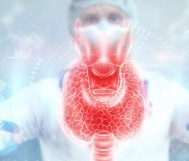 هرمون الغدة الدرقية