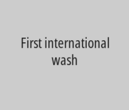 Steam wash two women's bags and get the third for free