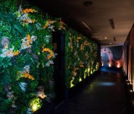 20% discount on the total bill