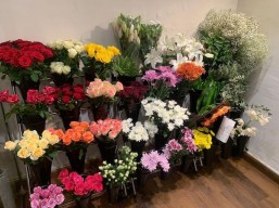 20% discount on all items