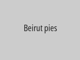 A quarter kilo of mini pies + grape leaves + 4 kibbeh pieces + tabbouleh