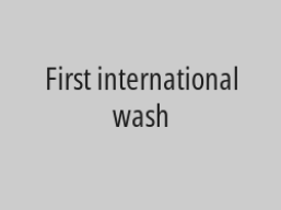 Steam wash two women's bags and get the third for free