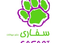 اشتري لعبة طيور واحصل على الثانية مجاناً او ادفع الفرق