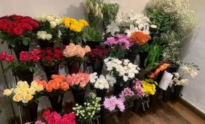 20% discount on all items