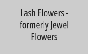 20% discount from total bill