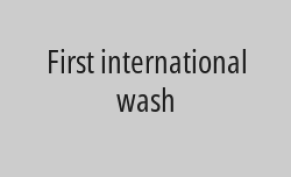 Steam wash two women's bags and get the third for free