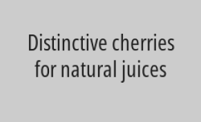 With every large gallon you get a free cocktail glass