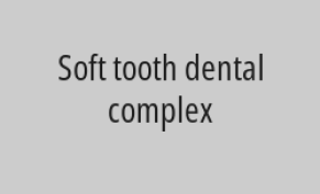 20% discount on whitening with home molds